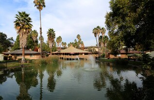 Palm Lake Apartments