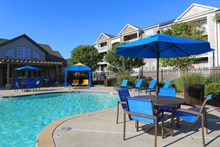Southwood Vista Apartments