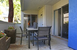 Willow Creek Apartments
