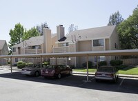 Rain Tree Apartments