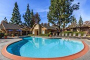 Mountain Springs Apartment Homes