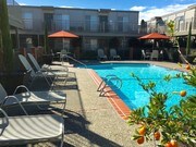 Olive Tree Apartamentos