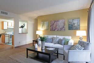 Oasis Springs Apartments