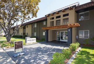 Bonnie Terrace Apartamentos