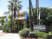 Caribbean Cove Apartments