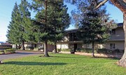 Coralaire Apartments