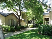 Date Tree Apartments