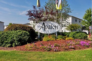 Avalon Apartments