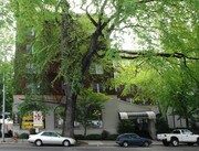 Regency Apartments