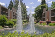 Waterfield Square Apartment Homes