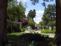 The Villa Monte Apartments