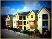 1 Bedroom Single-Family Home for Rent $1100
