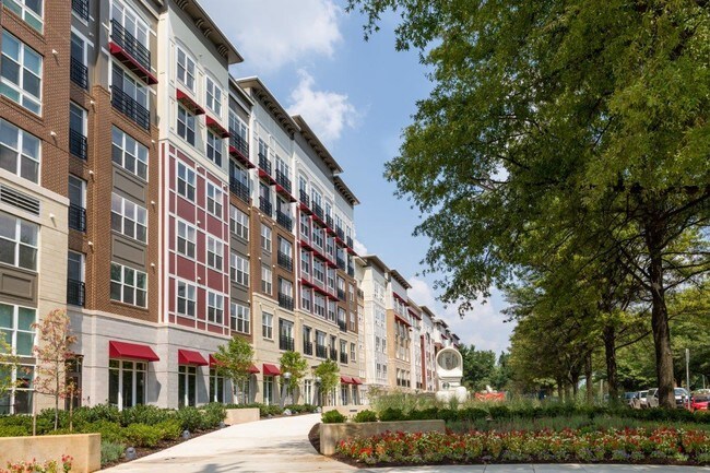 Bainbridge Shady Grove Metro Apartments