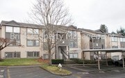 3 Bedroom Single-Family Home for Rent $1550