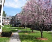 Hamilton Village Apartments