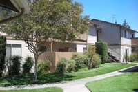 Valley View Apartments