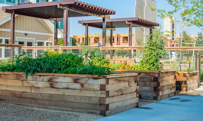 The Grove at Stapleton - Active Senior Living Apartments