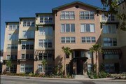 The Lofts at Albert Park Apartments