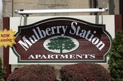 Mulberry Station Apartments