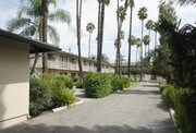 Coral Reef Apartamentos