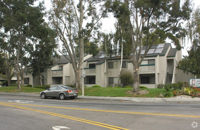 The Meadows Apartments