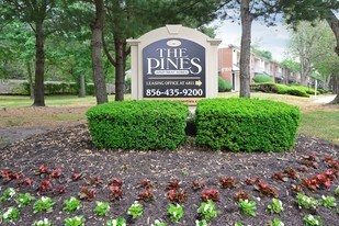 The Pines Apartments