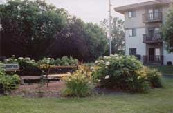 Island Place Apartments