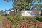 Commons Vintage Park Apartments