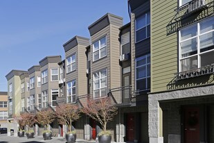 Mint Urban Apartments