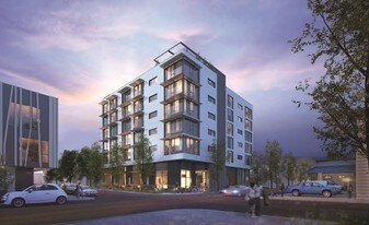 Muse Apartments