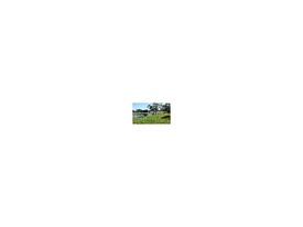 2 Bedroom Condo Unit for Rent $1395