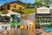 Forest Creek Apartments