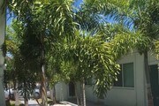8235 Crespi Blvd Miami Beach FL Apartments