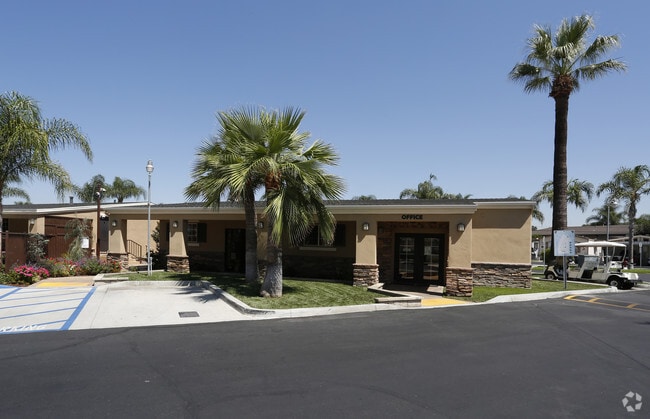 Palm Lodge Estates Apartments