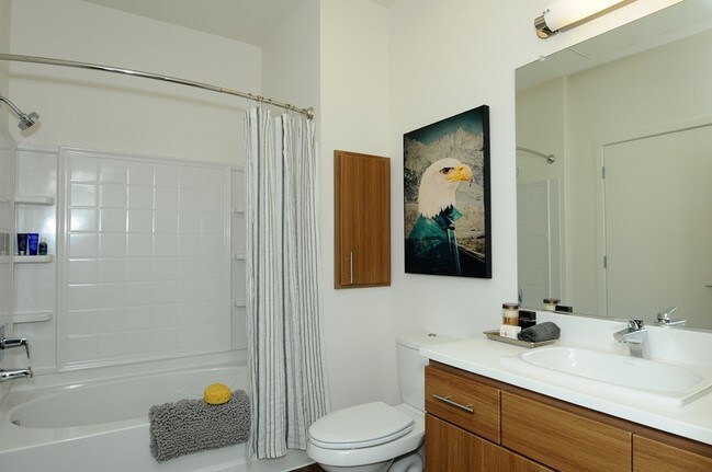 Apartments For Rent In Santa Teresa San Jose Ca Apartments For Rent In Santa Teresa San Jose Ca