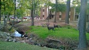 Great Oaks Apartments
