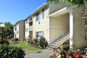Avery on Pearl Apartments