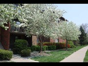 Willows of Wheaton Apartments