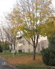 Old Orchard Estates Apartments