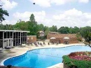 The Palms Apartments