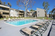 Arbor Park Apartments