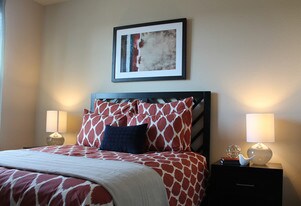 Springs at Alamo Ranch Apartments