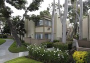 Pacific Woods Apartment Homes