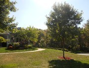 Building Photo - Mill Creek Townhouses Apartments in North Kingstown, Rhode Island