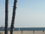 5251 E Ocean Blvd Long Beach CA Apartments