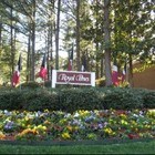 Royal Pines Apartments