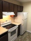 150 41st Ave N Saint Petersburg FL Apartments