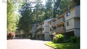 Forest Village Apartments
