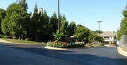 Concord Apartments