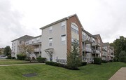 Renaissance Properties Apartments